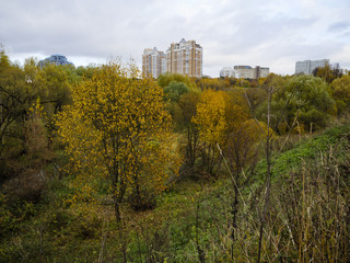 Autumn Park