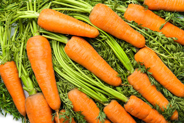 Many ripe carrots as background