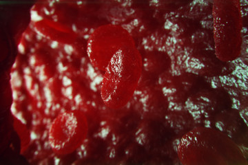 3D Illustration red blood cells in vein. Red blood cells flow in vessel. medical human health-care concept.