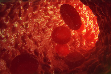 Red blood cells in vein or artery, flow inside inside a living organism, 3d illustration