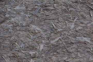 Grey wood texture