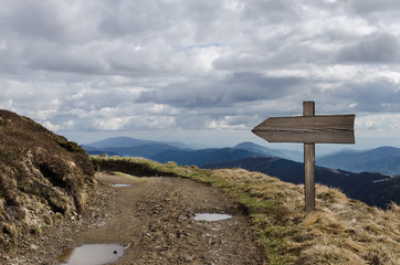 Wooden direction sign near the road in sunlight