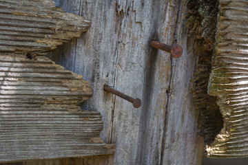 Wood and Nails Detail