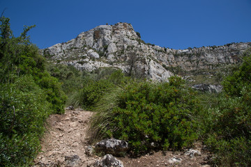 Fototapeta na wymiar Sentiero, paesaggio, sulla sponda sinistra verso i laghetti, Riserva Naturale Orientata Cavagrande del Cassibile