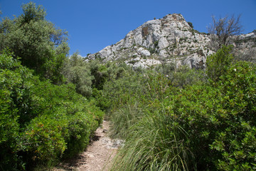 Fototapeta na wymiar Sentiero, paesaggio, sulla sponda sinistra verso i laghetti, Riserva Naturale Orientata Cavagrande del Cassibile
