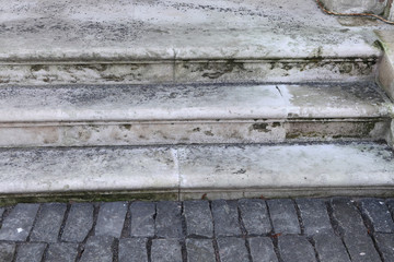 Paving stone in an autumn park