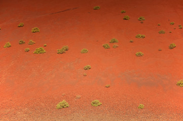 Lanzarote, Kanarische Inseln © Udo Weber