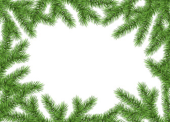 New Year background with spruce branch.