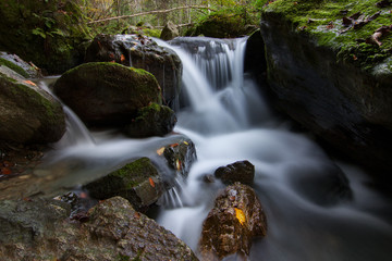 Autumn stream with smal waterfalls