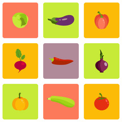 Vector illustration of different food icons