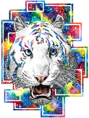 drawind of white tiger