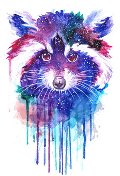 Watercolor Raccoon Face