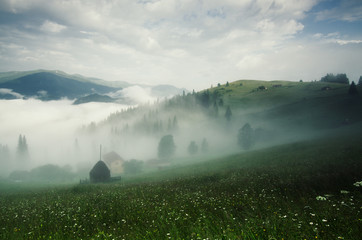 Foggy morning summer mountain landscape with mist and green meadow. Rural houses in the fog and dramatic cloudy sky. Carpathians, Ukraine