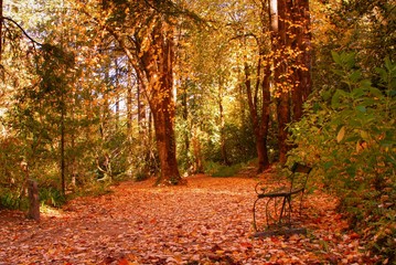 Parque da Vila do Gerês
