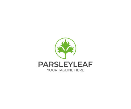 Parsley Logo Template. Cilantro Vector Design. Coriander Illustration