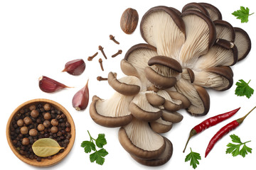 Oyster mushrooms, parsley, garlic and spices isolated on white background. top view