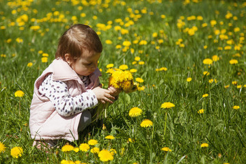 Naklejka na ściany i meble Happy childhood. The little girl collects bouquet of wildflowers.