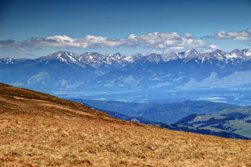 Ridges of Western Tatra with snow patches under white cumulus clouds in a sunny spring day, with green forests in Vah valley, Zapadne Tatry, Liptov region, from Kralova Hola Low Tatras Slovakia Europe