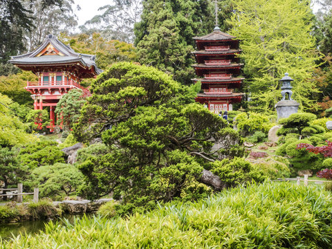 Japanese Tea Garden, Golden Gate Park, San Francisco, California, CA, USA