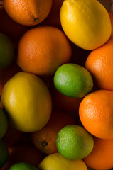 Close-up of limes, lemons and oranges.