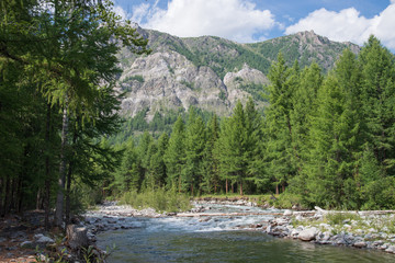 Beautiful summer landscape with mountains, forest and a river in front.