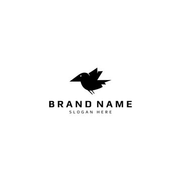 BIRD LOGO TEMPLATE