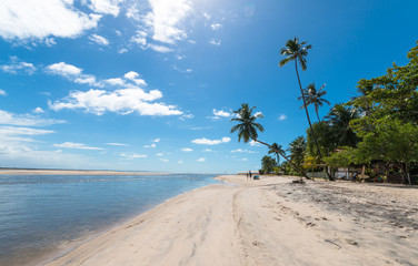 Tropical Beach - Boipeba Island