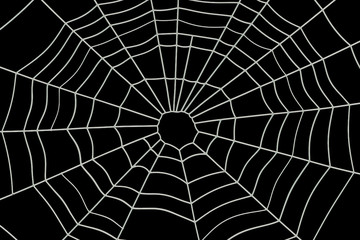 Obraz premium Spider Web, 3D rendering