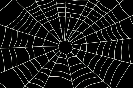 Spider Web, 3D rendering