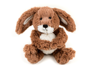 Fuzzy brown soft bunny on a white background