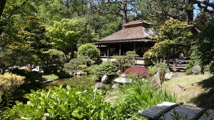Obraz premium temple korea bukhansan