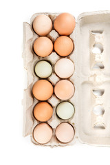 Farm fresh eggs in a carton on a white background
