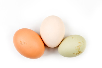 Farm fresh eggs on a white background