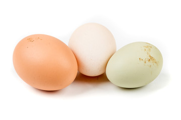 Farm fresh eggs on a white background