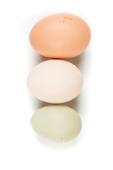 Farm fresh eggs on a white background