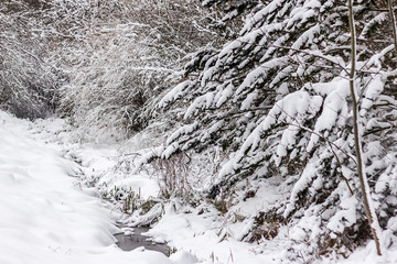 Bachlauf im Winter