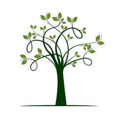 Obraz premium Green Spring Tree. Vector Illustration.