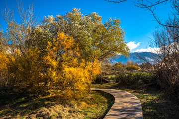 Laguna de Padul