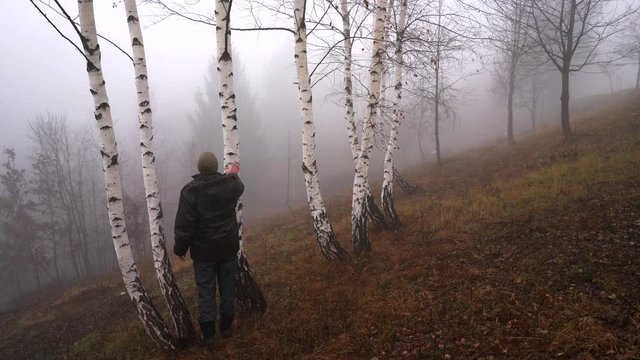 Man touches birch and goes into fog - (4K)