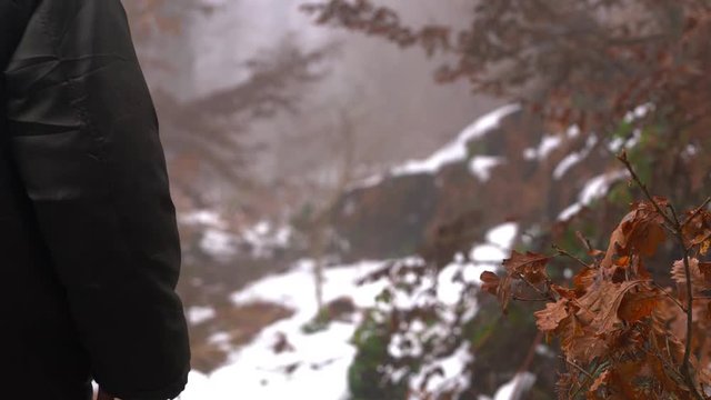 Man touches of oak autumn leaves and goes through the snow in fog - (4K)