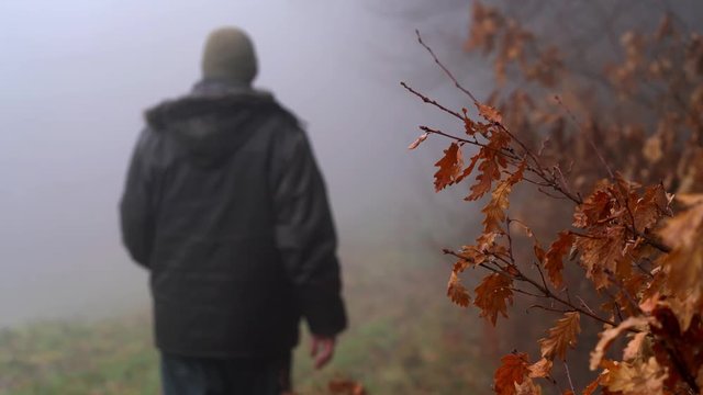 Man touches branch of oak autumn leaves and goes into fog - (4K)