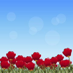 lawn with flowers red tulips