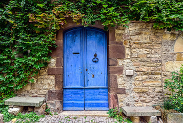 A blue and worn door with green ivy above on the stone walls of