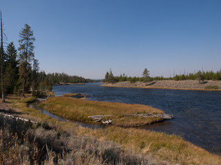 Madison River Yellowstone 5778