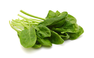 Fresh leaves of spinach