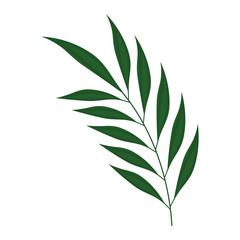 tropical palm leaf icon