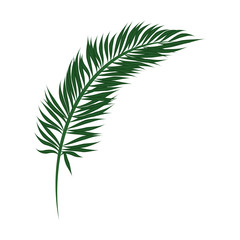 tropical palm leaf icon