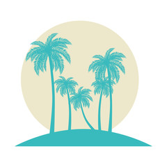 tropical palm trees scene