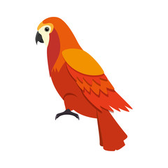 cockatoo exotic bird icon