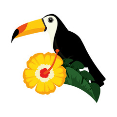 toucan exotic bird with flower